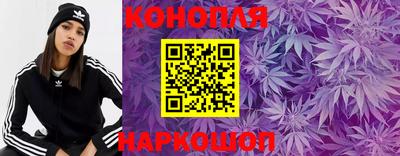соль ск Будённовск