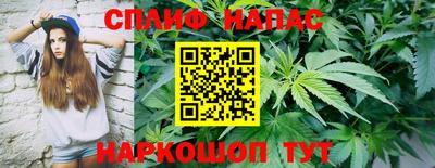 соль ск Будённовск