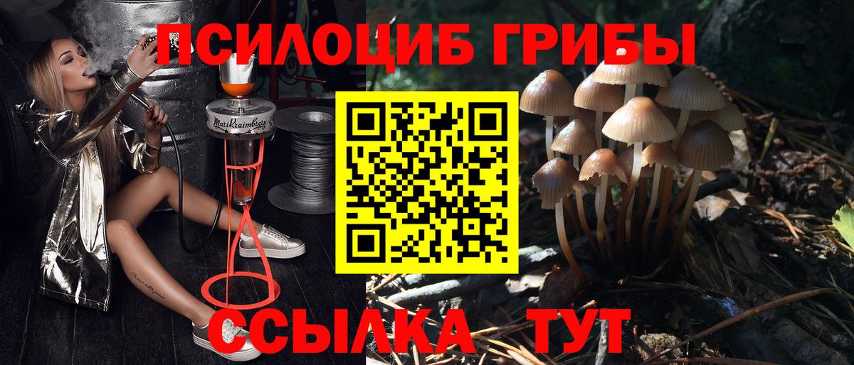 Шахты  Галлюциногенные грибы Magic Shrooms  Вход с VPN 